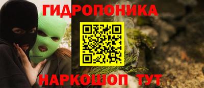 крисы Будённовск