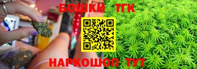 крисы Будённовск