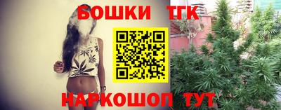 крисы Будённовск